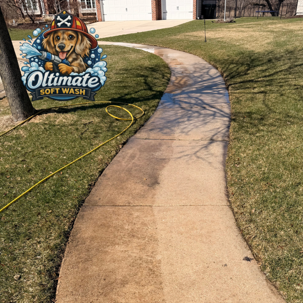 Fence deck soft wash cleaning Will County IL