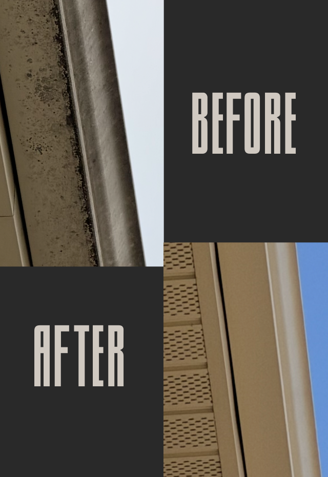 Gutter brightening tiger stripe removal Will County IL