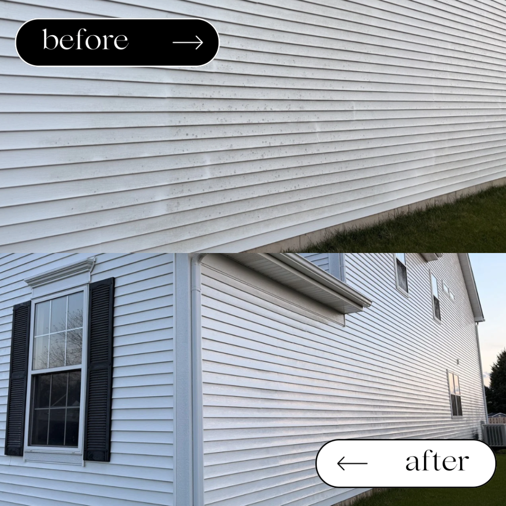 Pergola arbor soft wash cleaning Will County IL