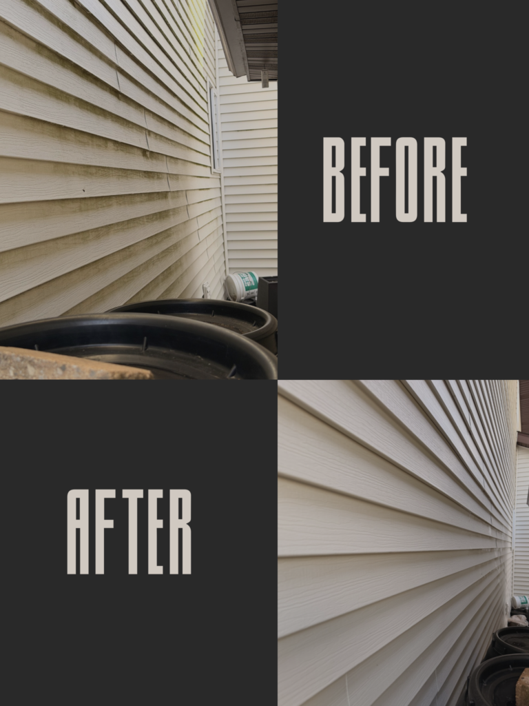 Exterior house wash soft wash results Will County IL